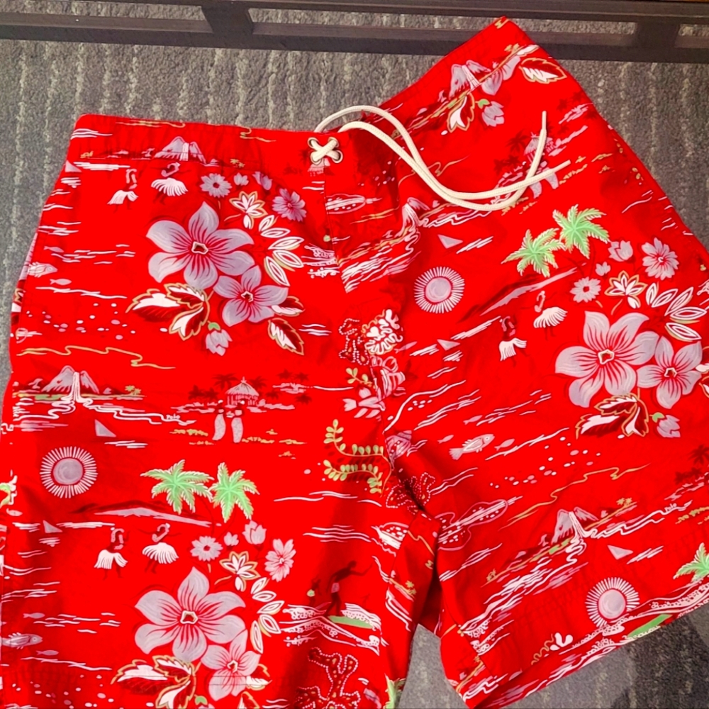 Polo Swim Trunks